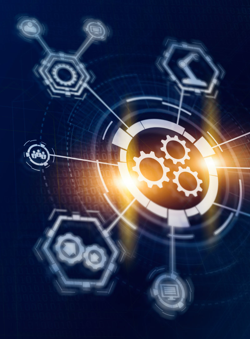 skryptar Ablauf der Projektabwicklung